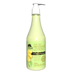 Healing Therapy Lotion Lemongrass and Ginger