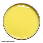 Gel Medium Prism Daisy 15gr