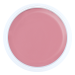 Gel Medium Vintage Butterfly (NPJ)