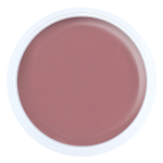 Gel Medium Vintage Corsage (NPJ)