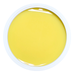 Alezori - Gel Medium Prism Daisy 15g (NPJ)(NPJ)