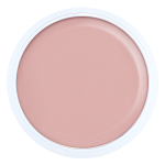 Gel Medium Vintage Pudre (NPJ)