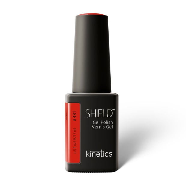 Kinetics Shield Alarm #481 Kinetics Shield Alarm #481